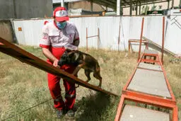 تصاویر دیدنی از سگ های زنده یاب