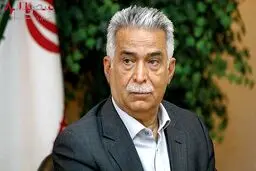 ایمیدرو در اکتشاف معادن سرمایه‌گذاری نکند نیازمند واردات می‌شویم