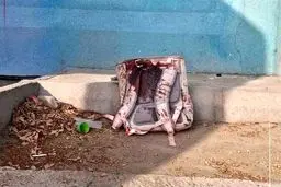 از میناب تا اسلام آباد 