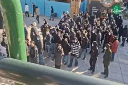 دادگسترنیا : هیچ گروهی حق ورود خودسرانه به دانشگاه ندارد