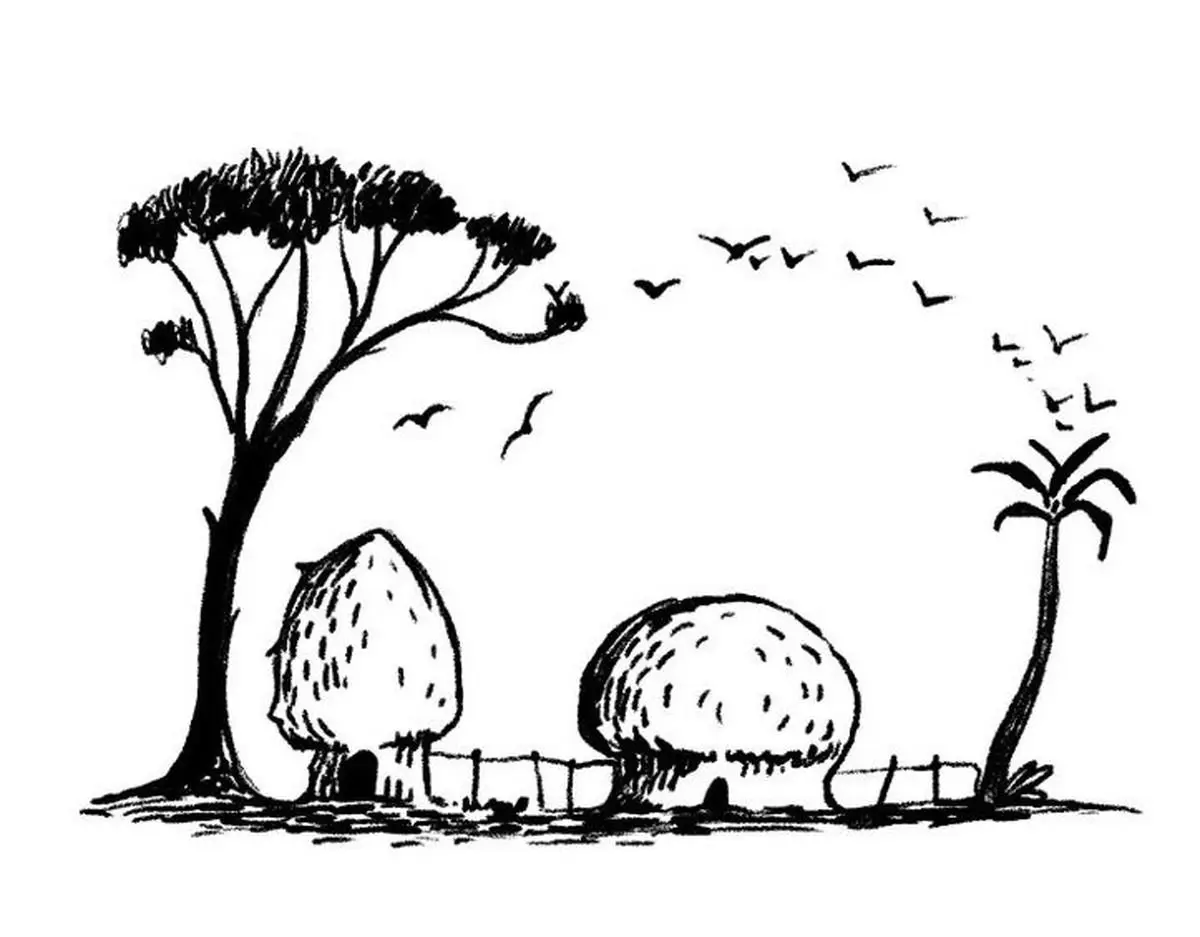 تست شخصیت شناسی : یک تست کوتاه که همه چیز را درباره تو می‌گوید!