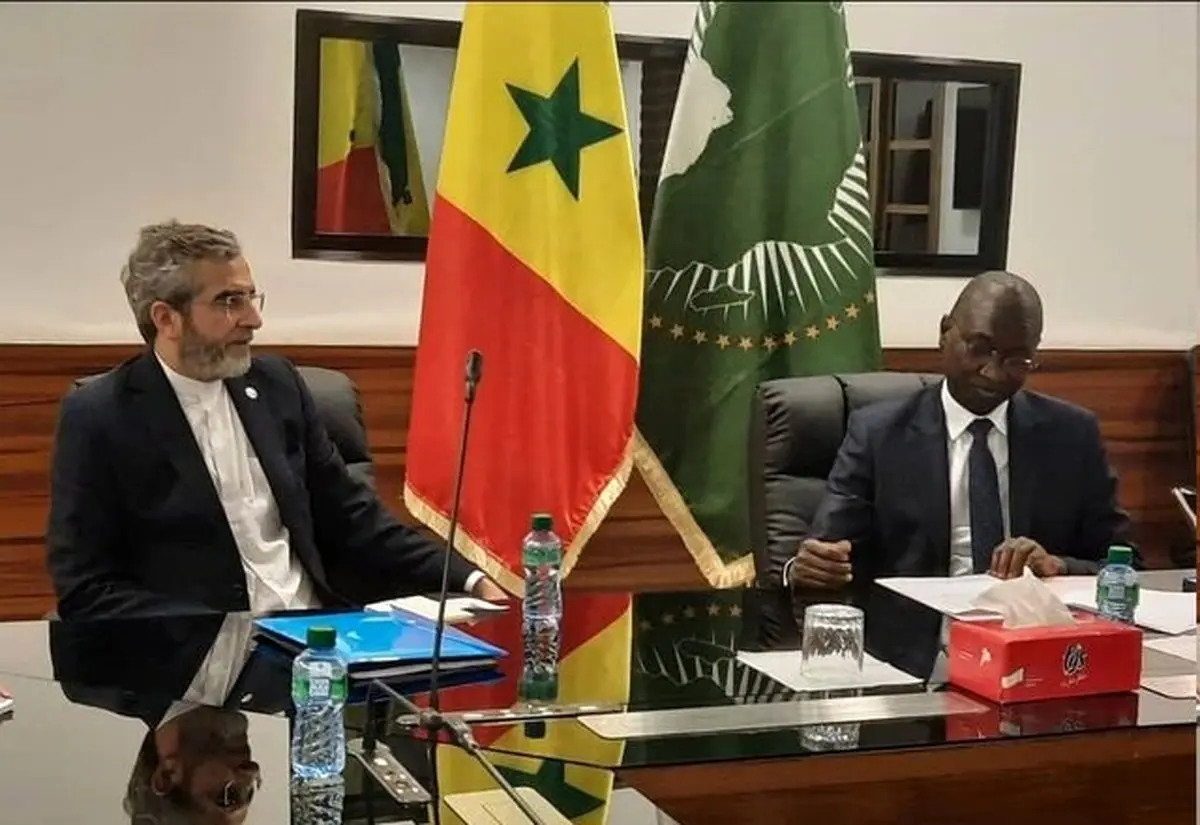 باقری: ایران شریک قابل اتکای کشورهای آفریقایی است