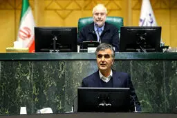 فرزین نرفته ، شغل جدید گرفت