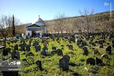 گورستان سفیدچاه