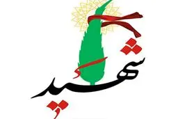 شهادت ۲ نیروی بسیجی در سراوان + جزئیات
