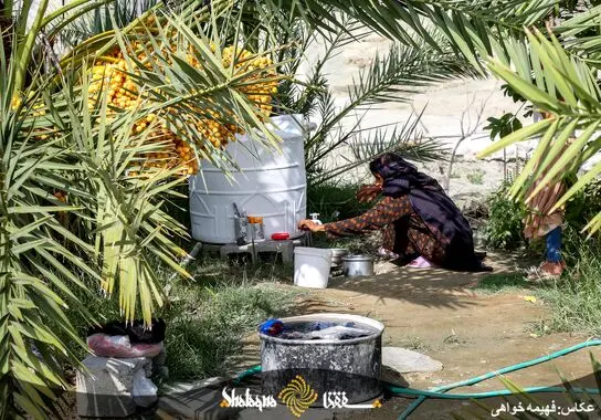 فقر در بشاگرد