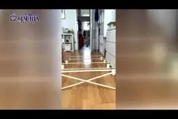محاسبه اشتباه و خنده‌دار یک گربه خانگی