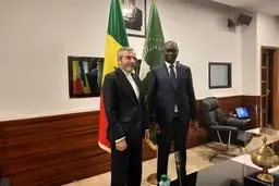 باقری: ایران شریک قابل اتکای کشورهای آفریقایی برای برقراری امنیت پایدار است