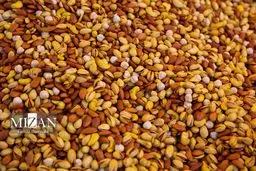 تصاویر بازار خرید بزرگداشت شب چله (یلدا)