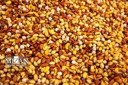 تصاویر بازار خرید بزرگداشت شب چله (یلدا)
