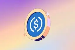 خرید استیبل کوین USDC چه مزایا و کاربردهایی دارد؟