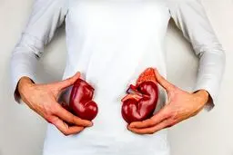 چند روش ساده برای مراقب از کلیه‌ها در ماه رمضان