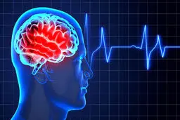 معمای مرگ؛ رمزگشایی از آخرین سیگنال‌های مغز