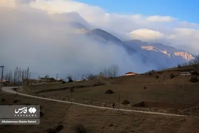 آتش سوزی جنگل