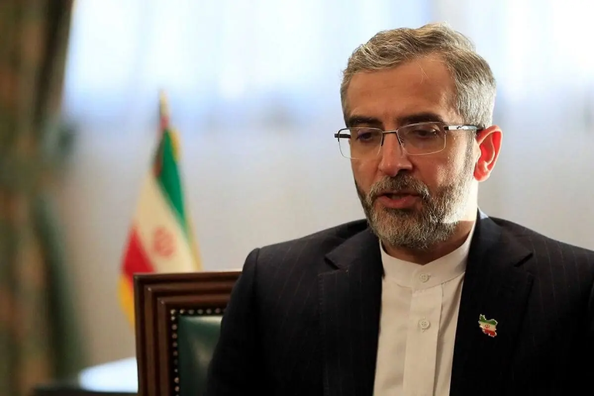 نصیحت علی باقری به کمیسر عالی حقوق بشر