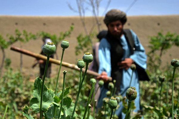 تریاک افغانستان و پاکستان پشت مرز‌های ایران