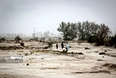 خشکسالی هامون