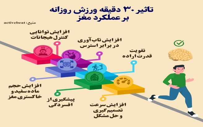 تاثیر ۳۰ دقیقه ورزش روزانه بر عملکرد مغز|عکس