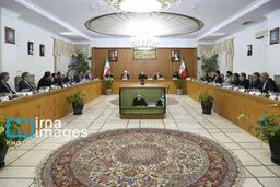 مجلس همین رویکرد تعاملی خود با دولت را ادامه خواهد داد
