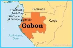 کودتا در گابن؛ چرا فرانسه «علی بو نگو» را رها کرد؟