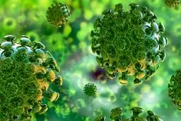 خبر بد/ یک سویه جدید دیگر از ویروس کرونا کشف شد!