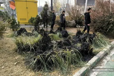 اغتشاش