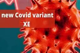 سیر تا پیاز واریانت XE کرونا