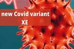 سیر تا پیاز واریانت XE کرونا