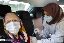 ایرانی ها تاکنون چند دوز واکسن کرونا زده‌اند؟