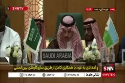 عربستان طرح اسرائیل بزرگ را محکوم کرد