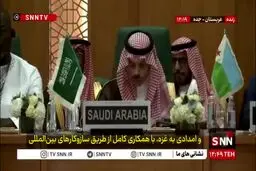 عربستان طرح اسرائیل بزرگ را محکوم کرد