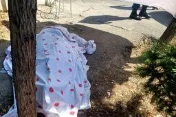 جزییات جدید از قتل رئیس اسبق پزشکی قانونی کشور
