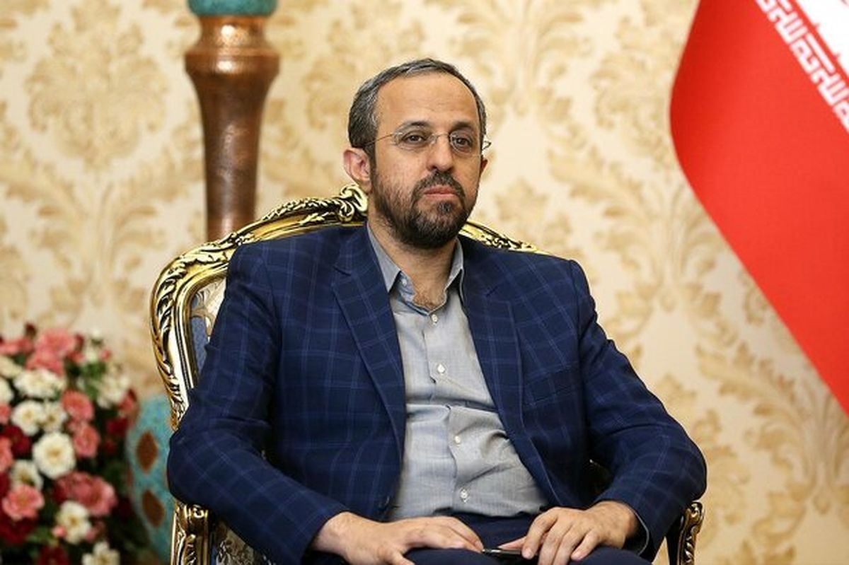توئیت کنایه آمیز احدیان خطاب به سخنگوی دولت