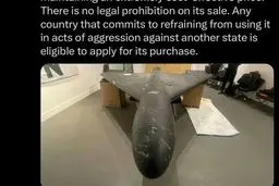 زنگ بیدارباش در انگلیس با دیدن پهپاد شاهد ۱۳۶ ایرانی