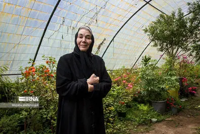 پروانه معصومی