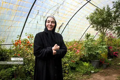 پروانه معصومی