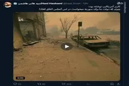 چیزی که دولت آمریکا برای سوریه می خواست در لس‌آنجلس رخ داد!

