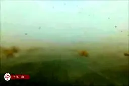 تصاویر وحشتناک از طوفان شن در زاهدان