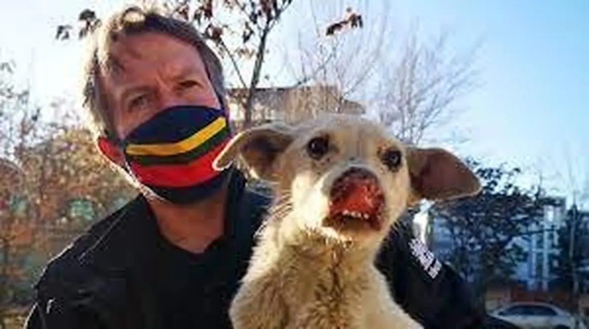 طالبان از خروج ۲۰۰ سگ و گربه از افغانستان ممانعت کرد