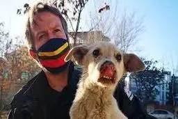 طالبان از خروج ۲۰۰ سگ و گربه از افغانستان ممانعت کرد