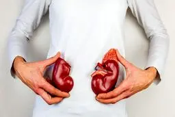 8 راه ساده برای محافظت از کلیه‌ها در ماه رمضان