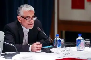 پاسخ ایروانی به درخواست نماینده آمریکا در شورای امنیت