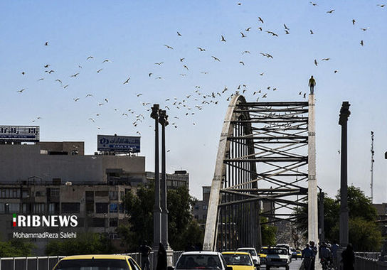 سرگرمی هولناک