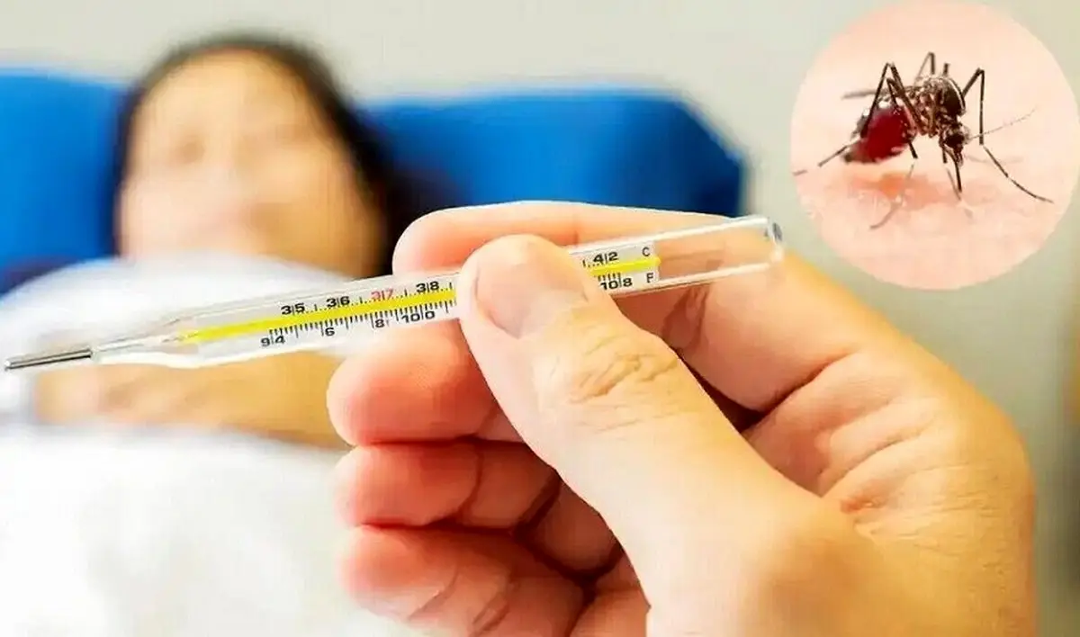 توضیحات مهم وزارت بهداشت درخصوص فراگیری تب دنگی در تهران