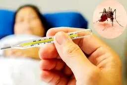 توضیحات مهم وزارت بهداشت درخصوص فراگیری تب دنگی در تهران