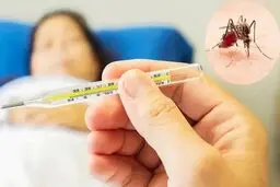 توضیحات مهم وزارت بهداشت درخصوص فراگیری تب دنگی در تهران