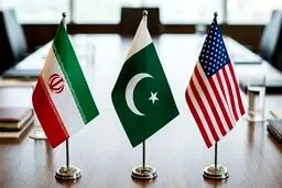 تام نیکولز: این شکستی است که به شکل پیروزی جلوه داده‌اند