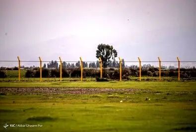 میانکاله