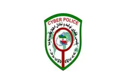 هشدارهای انتخاباتی پلیس فتا درباره نظرسنجی‌های انتخاباتی