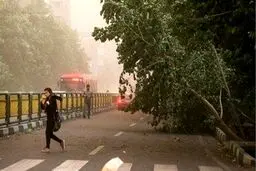 فوری/ هشدار جدی هواشناسی به تهرانی‌ها + جزئیات